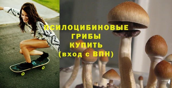 МДПВ Лихославль